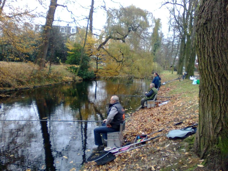 vissesie beek nov 08